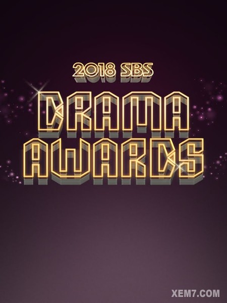 SBS Drama Awards 2018