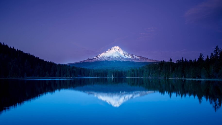 Mountain, Lake, Forest, Night, Scenery, 4K, #4.2322