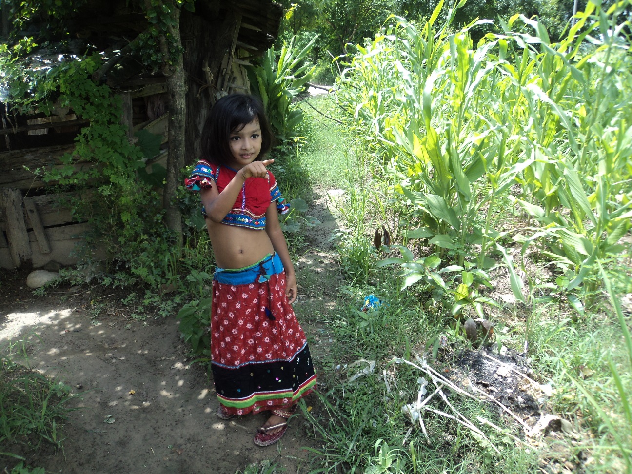 Avishek S Note My Daughter Wearing On Traditional Dress Of Tharu Tribe