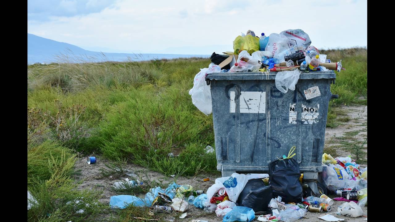 Skip Bin Hire and Skip Bin Service is most Demanded