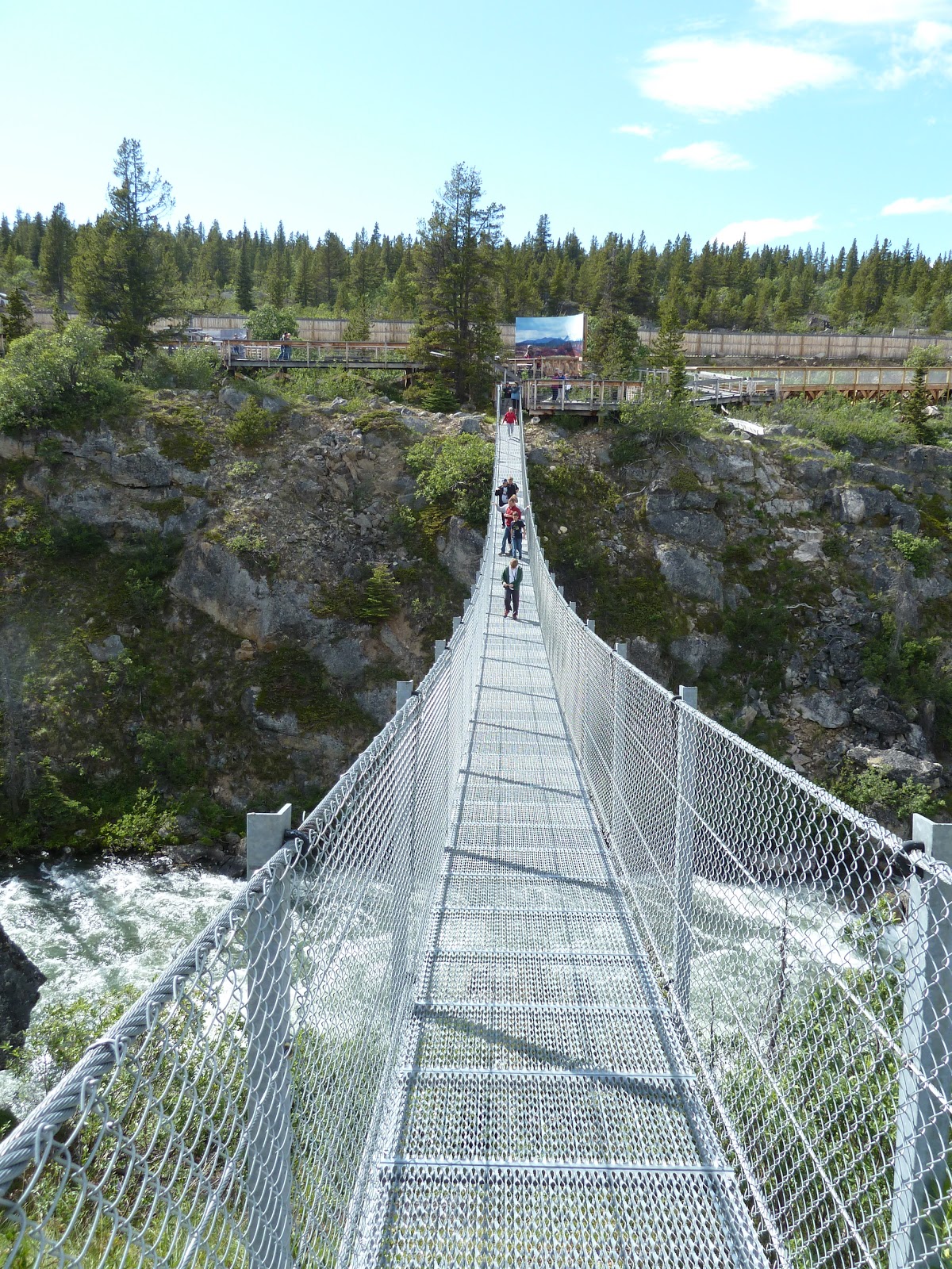 Deb's Days Yukon Suspension Bridge, BC, Canada