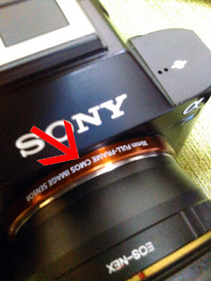 Review Sony A7S Kamera Pocket Mirroless 4K 