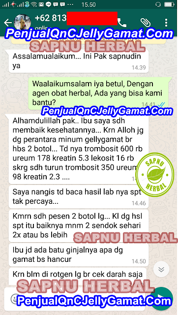 Cara Mengobati Ginjal Bocor Secara Alami Agar Cepat Sembuh Cara Mengobati Ginjal Bocor Secara Alami Agar Cepat Sembuh