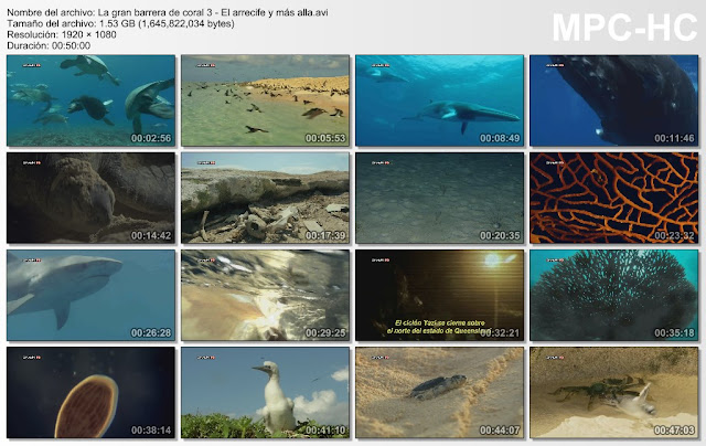 BBC|La Gran Barrera de Coral |3/3| FullHD |1080p| Mega