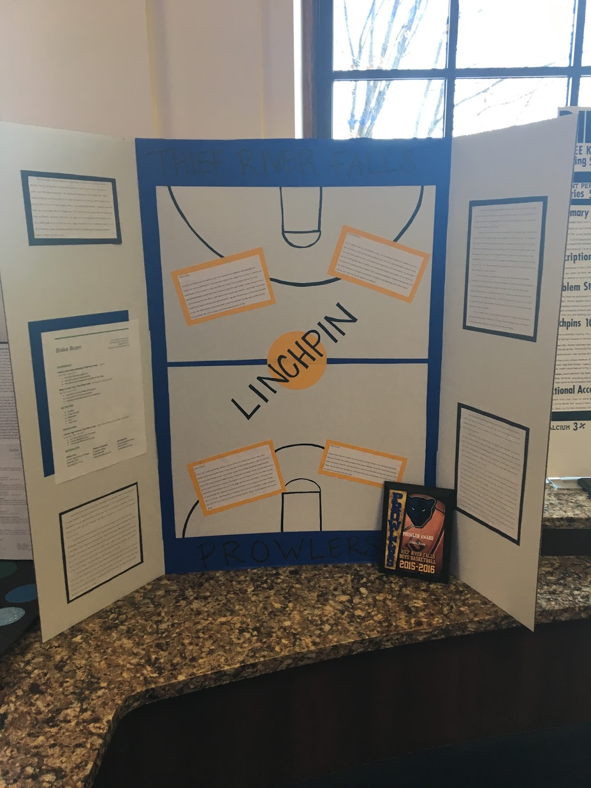 college-comp-2-everything-bad-is-good-for-you-linchpin-poster-boards