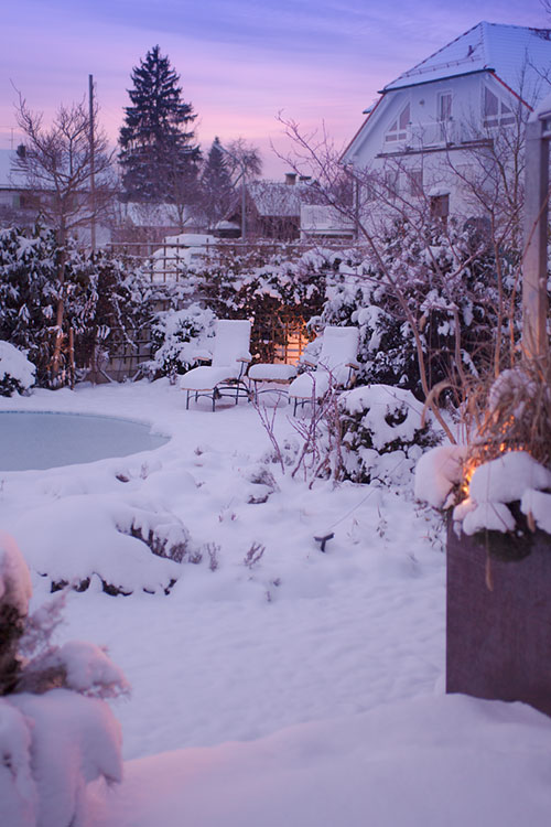 Gartenblog GeniesserGarten Winter im Garten