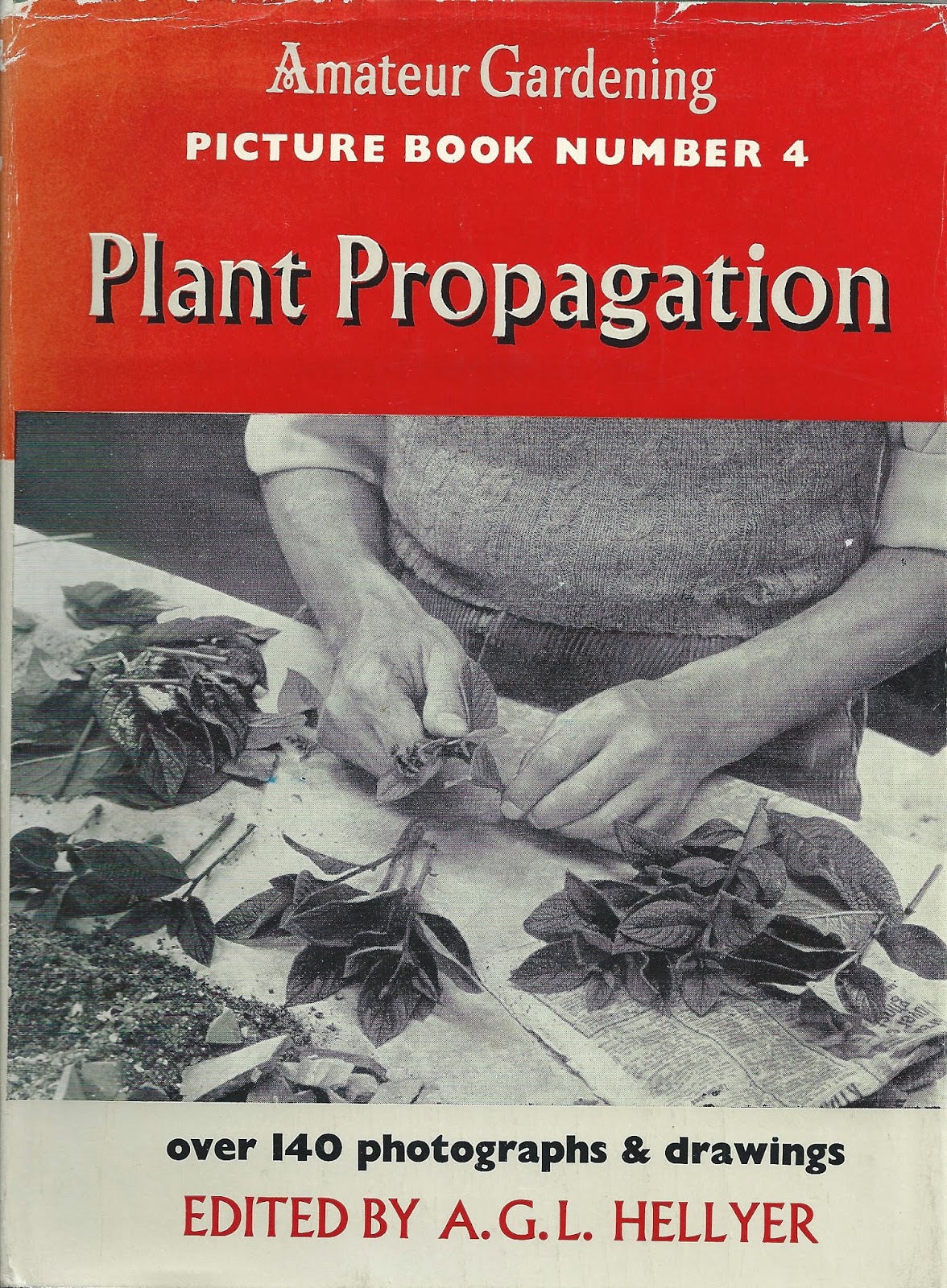 Penelope S Hellyer Author An Ongoing Education