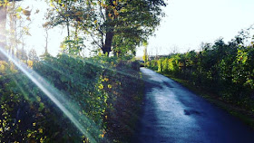 Rechtsratgeber Infos Fachbeitrage Hfbp Rechtsanwalte Notar