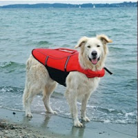  Trixie Gilet de Flottaison pour chien