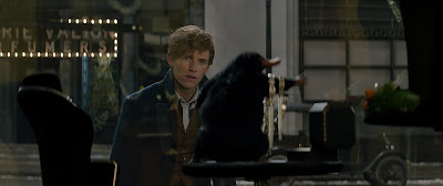 Fantastic Beasts and Where to Find Them Image 9
