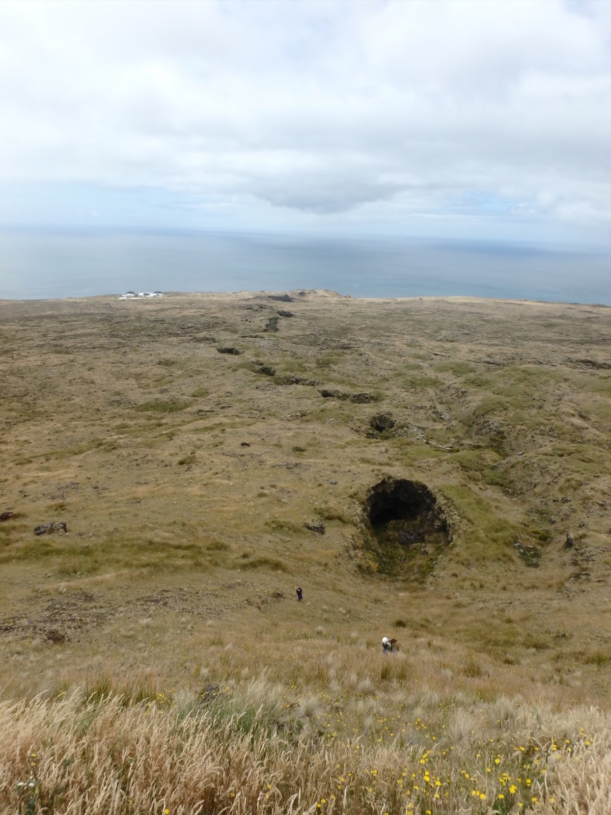 Blog officiel du district des îles SaintPaul et Amsterdam TAAF Le