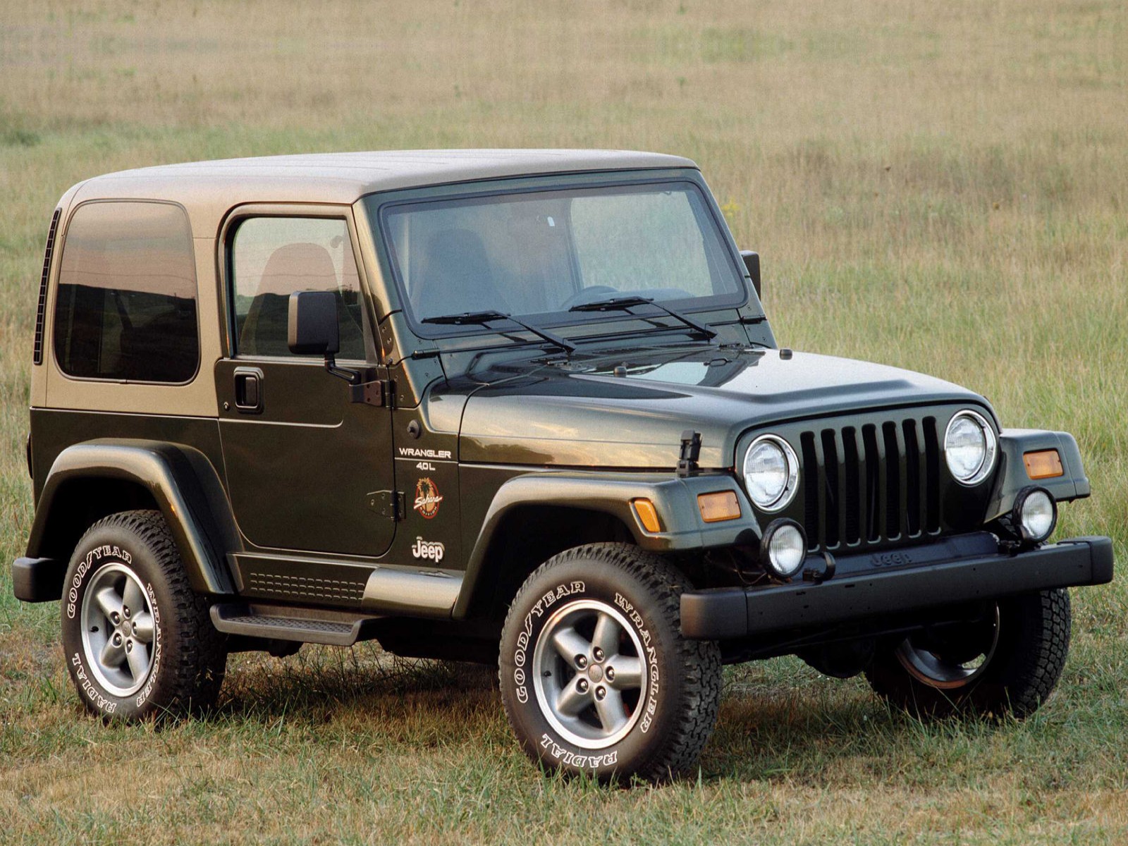 Jeep wrangler 1997 computer #5