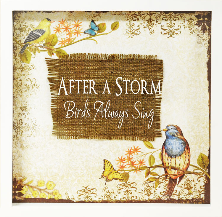 Ben Franklin Crafts and Frame Shop After a Storm, Birds Always Sing