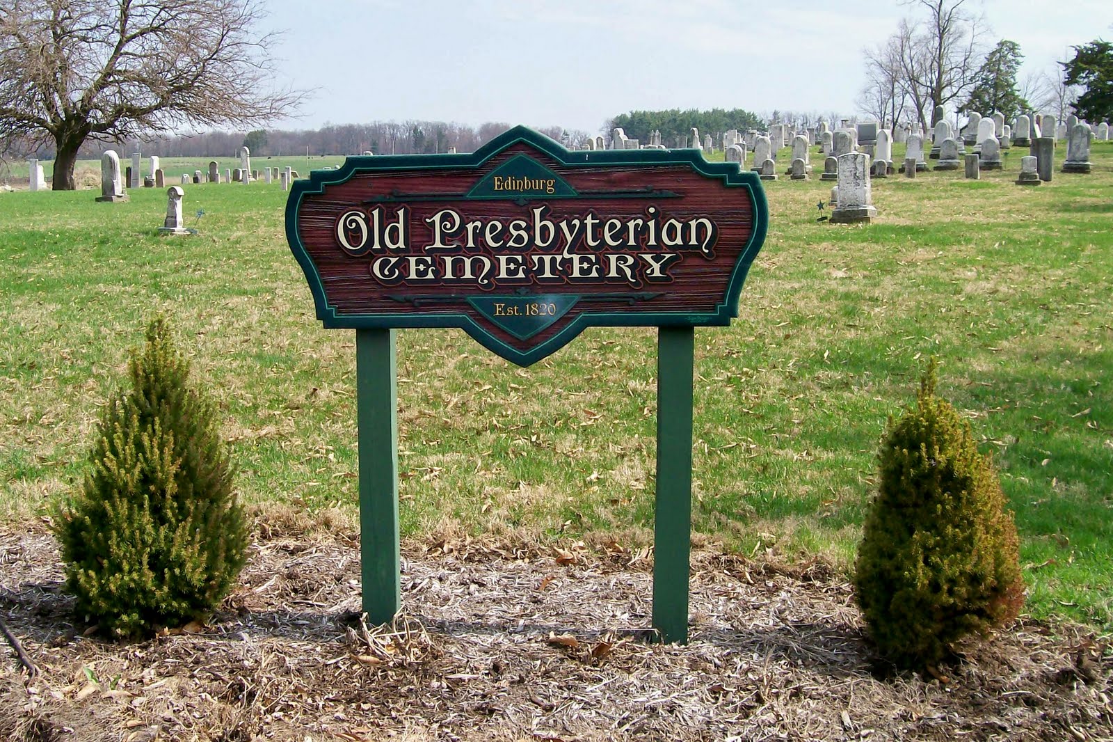 Graveyard Rabbit of Sandusky Bay Old Presbyterian Cemetery in Apple