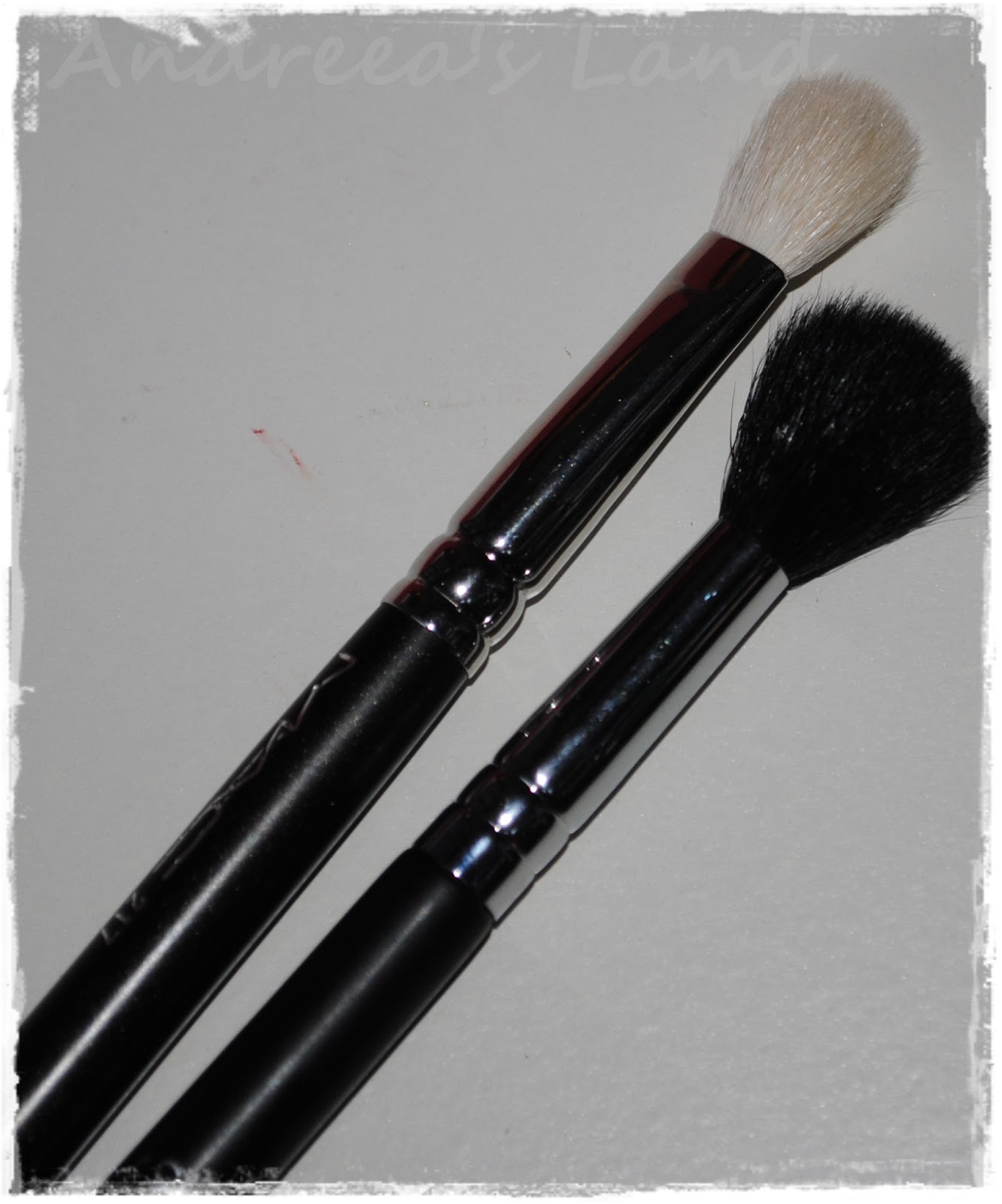 Sigma Brushes & MAC Brushes Andreea's Land ♥