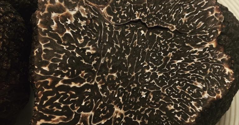 Par Le Sang Qui Coule Dans Nos Veines Comme du sang qui coule dans les veines d'un produit d'exception.