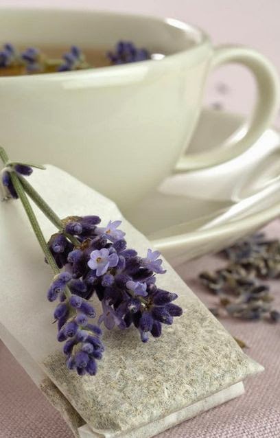 Mua trà Lavender Pháp - trà hoa oải hương Pháp tại TPHCM 02