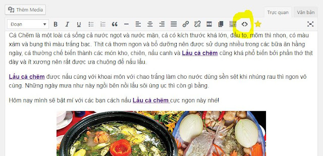 Chèn code Schema Event vào bài viết trong Wordpress Chèn code Schema Event vào bài viết trong Wordpress