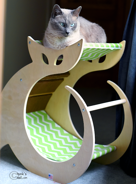 Siamese cat on lounger, cat hammock