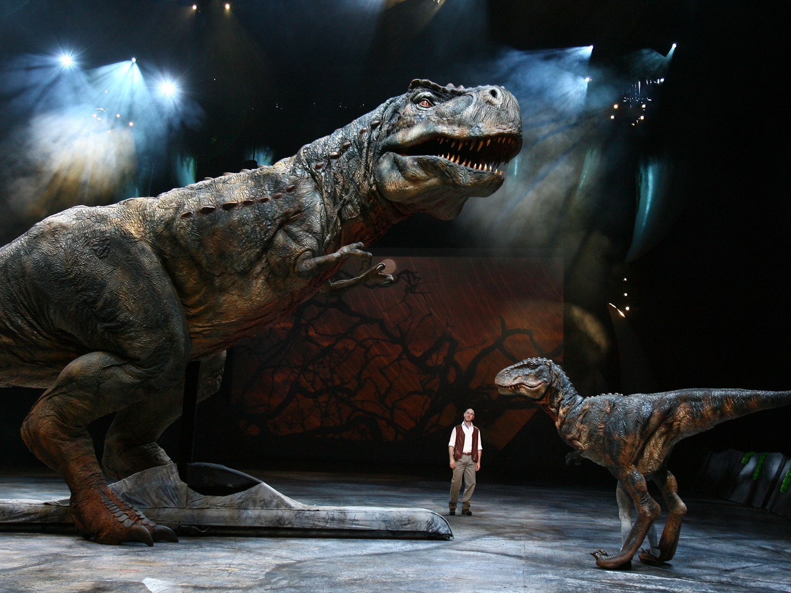 Mega post Fotos Dinosaurios - Taringa!