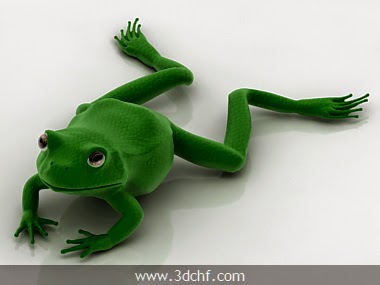 frog 3d model