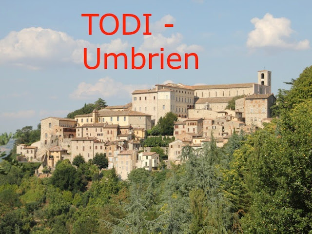 Brain Neurology Charts And Diagrams Wow Profit Packs