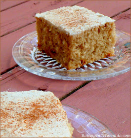 Coffee and Cinnamon Cake Squares have bold coffee flavor with a hint of cinnamon. | Recipe developed by www.BakingInATornado.com | #recipe #cake #coffee