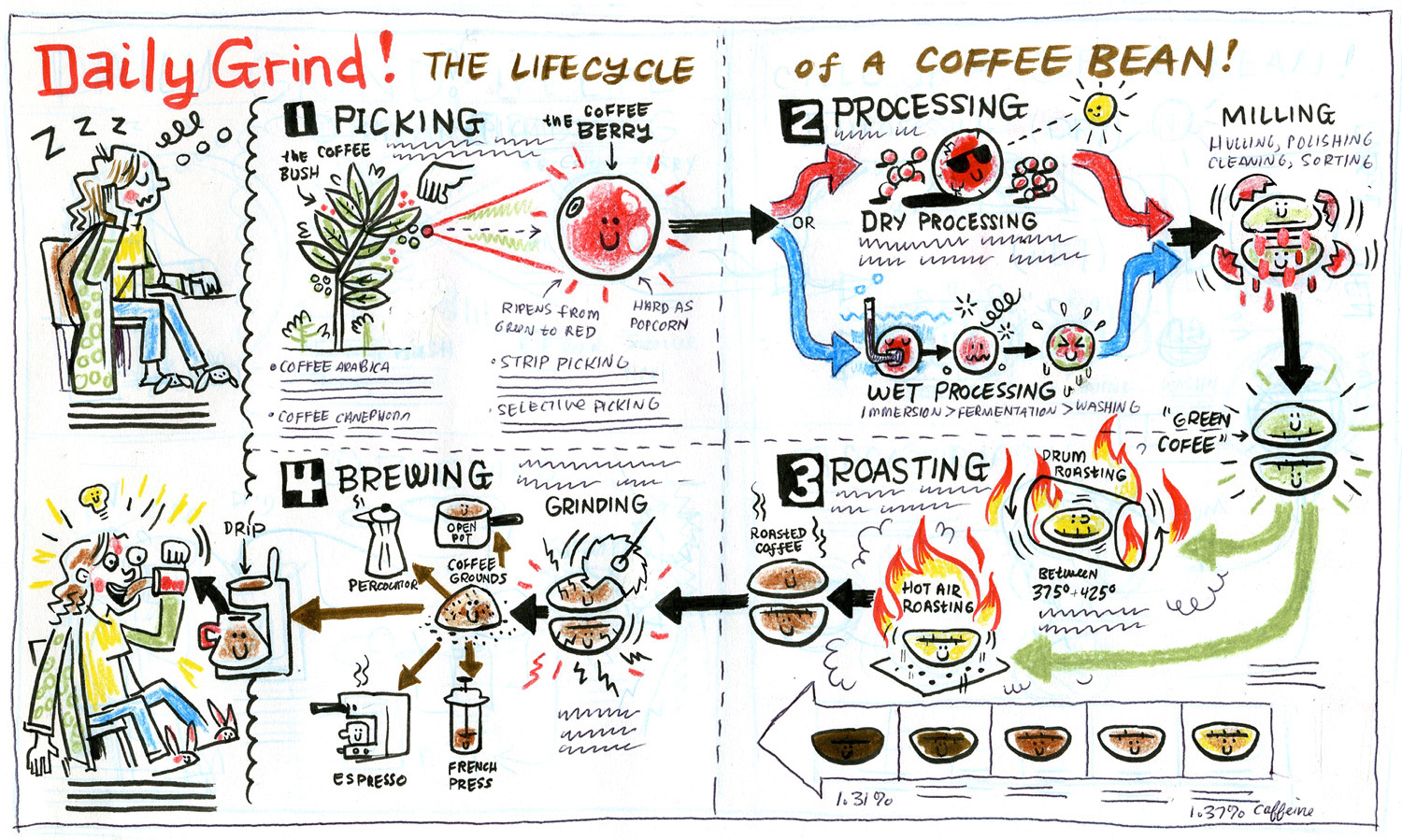 Zettwoch's Suitcase How Coffee Works!!!