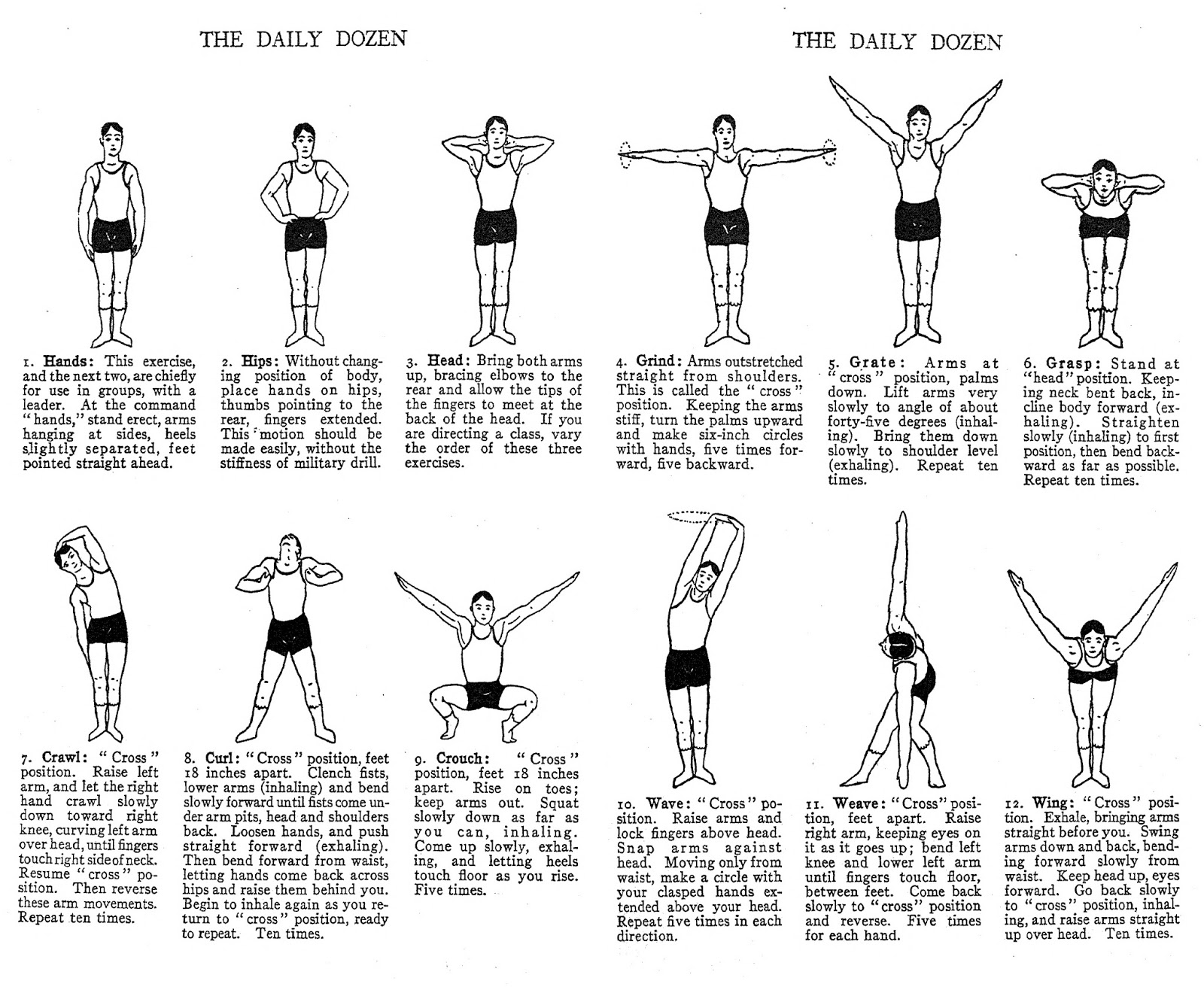 daily dozen exercises poster