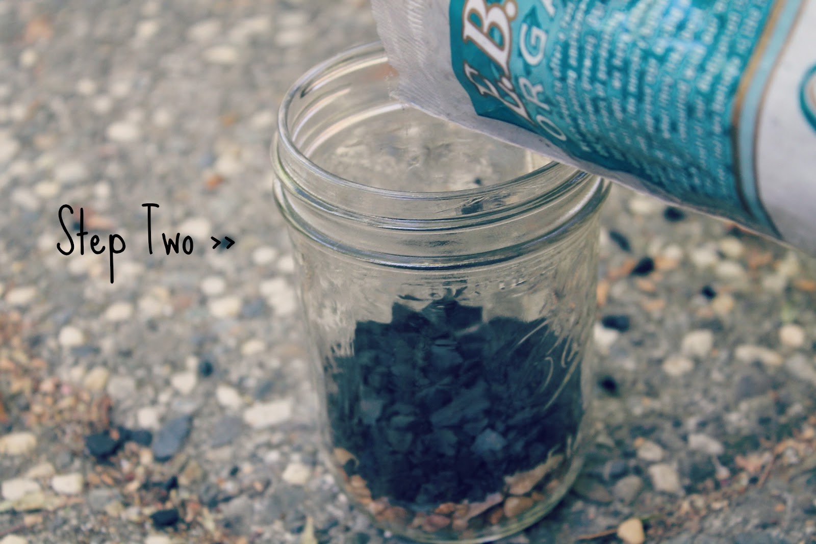 abhaya DIY >> Succulent Planters