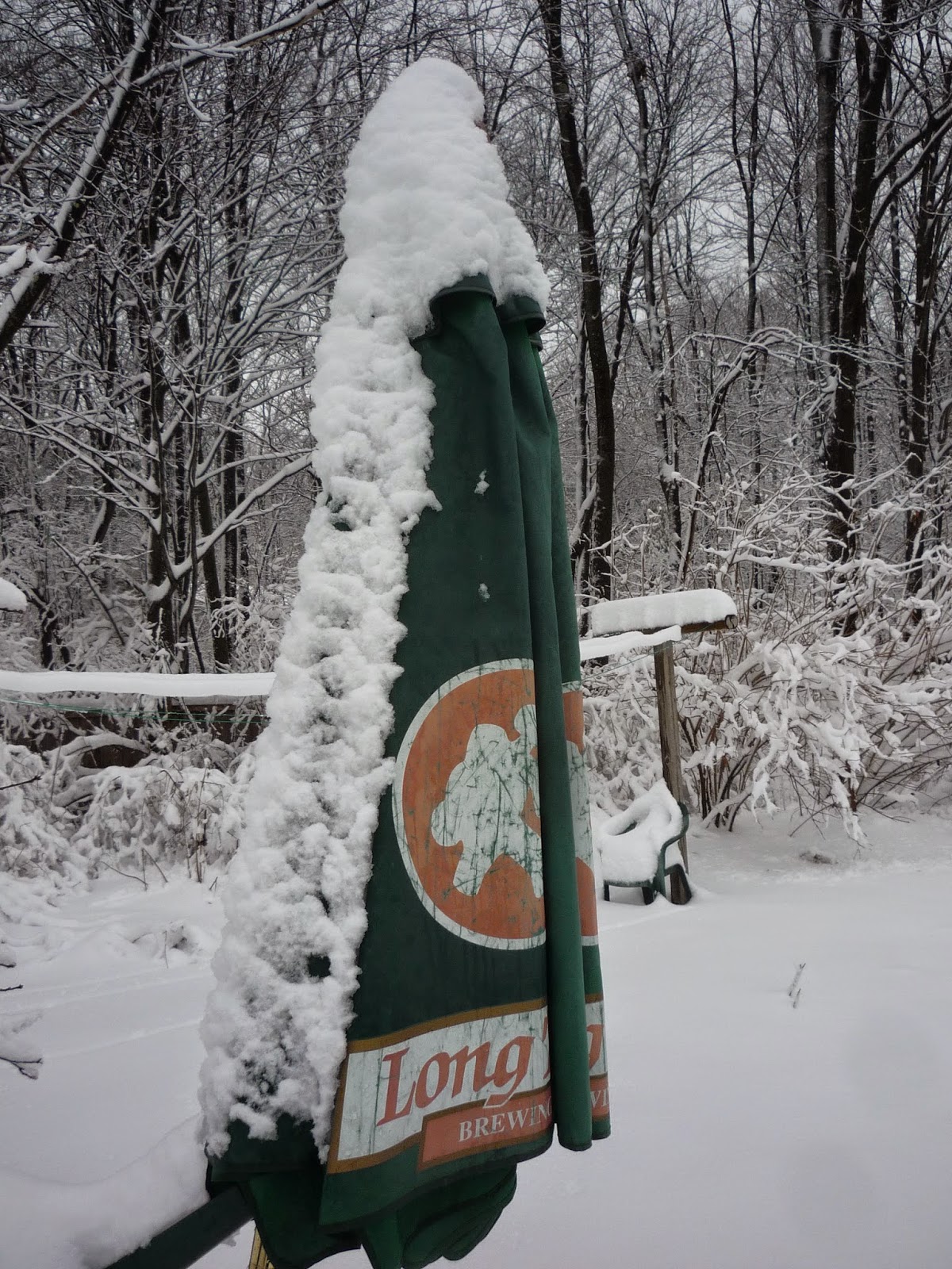 Weather in Vermont Dec 2014 Snowstorm South Burlington, Vermont Photos and commentary.