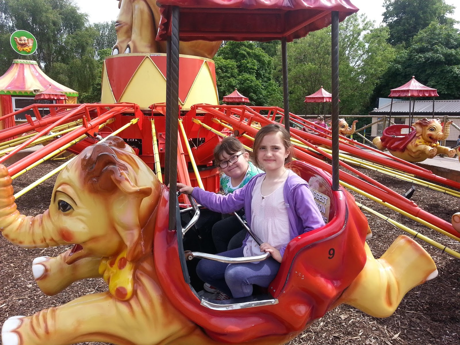 Mrs Wilkshires Year 3/4 Class Our Visit to West Midlands Safari Park