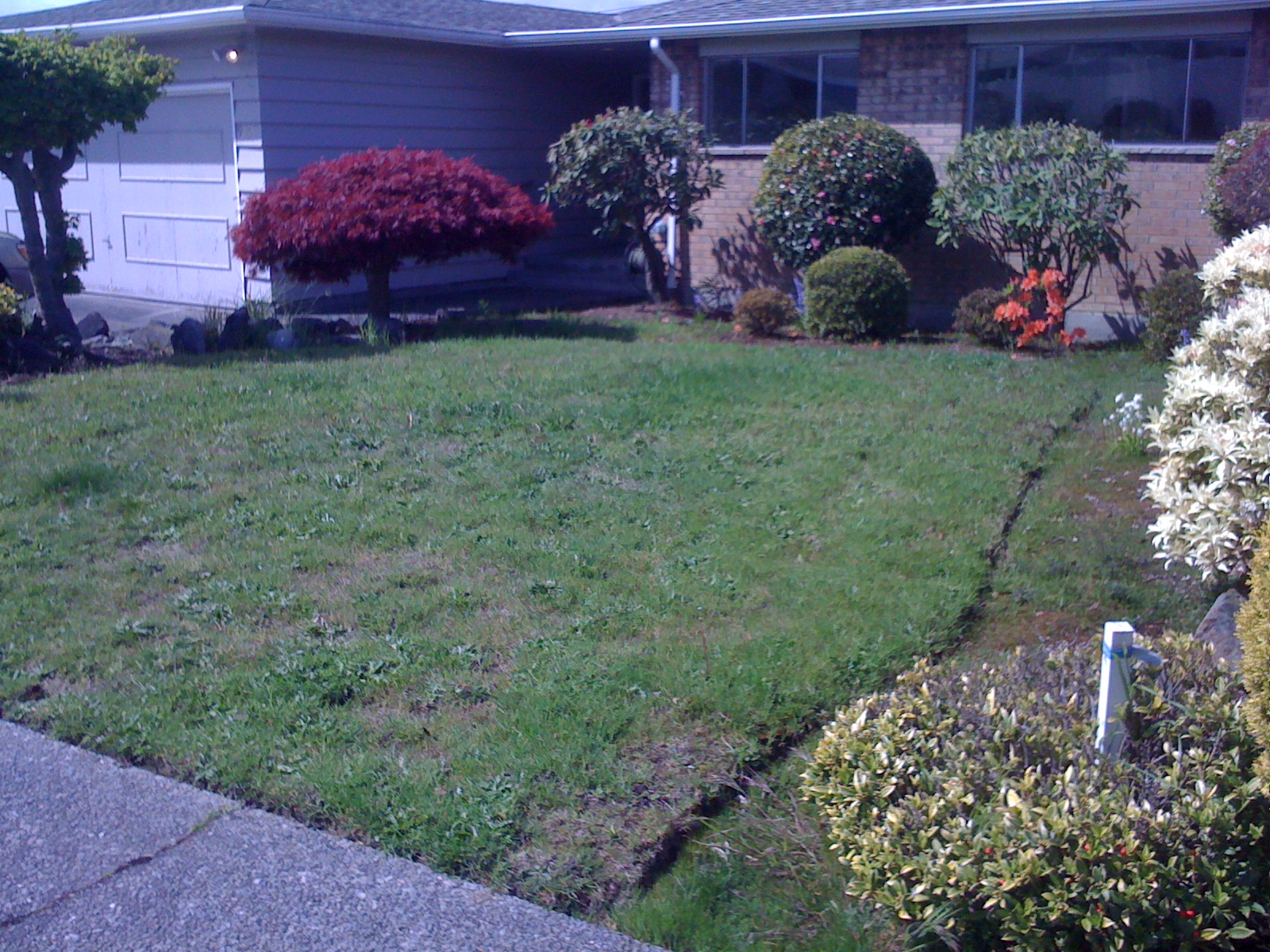 Grass Free And Deed Restricted An Impossible Dream