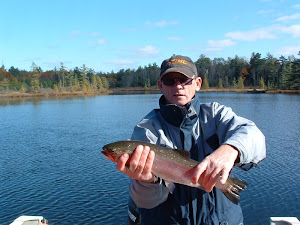 FALL RAINBOWS