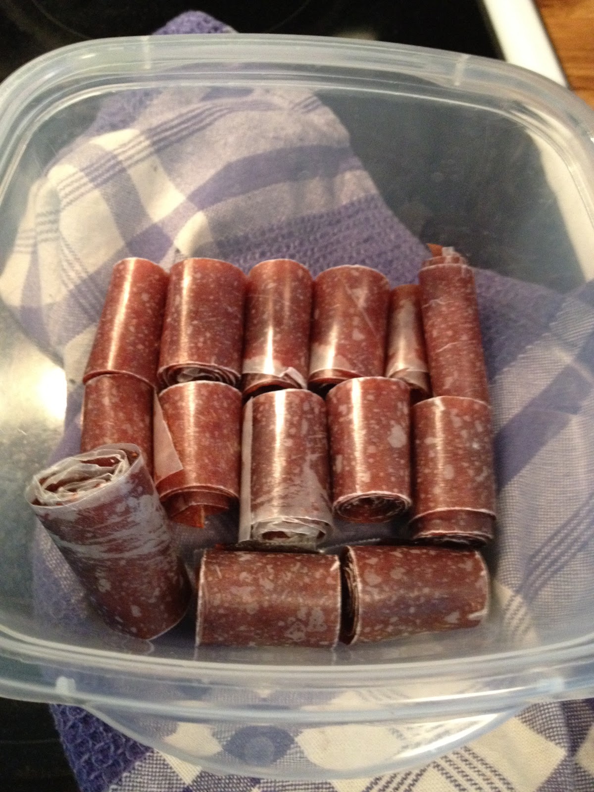Take Time for Today Homemade Fruit Roll Ups