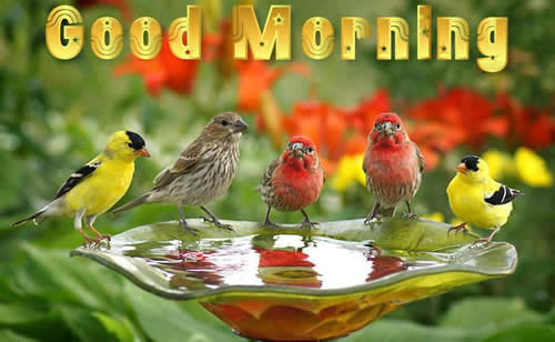 Good Morning Graphics 2017 Good Morning Graphics 2017
