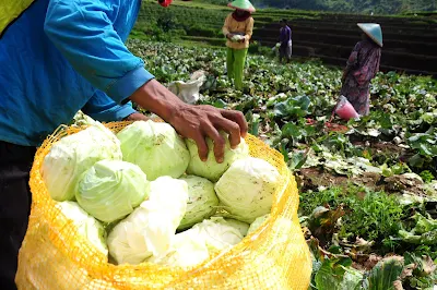 Konsep Keterkaitan Keruangan Atau Asosiasi