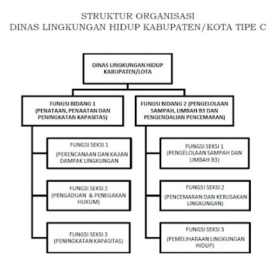 Struktur Organisasi Dinas Lingkungan Hidup Kabupaten/ Kota tipe C