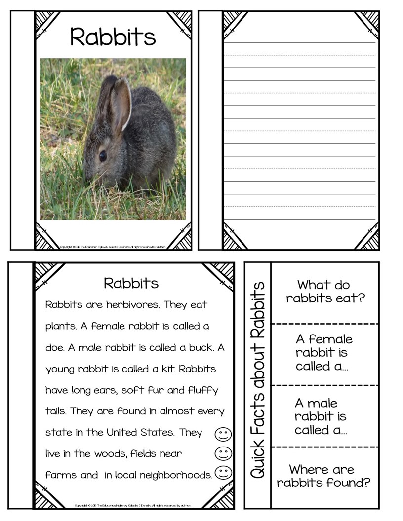 The Education Highway: Springing into Learning Blog Hop