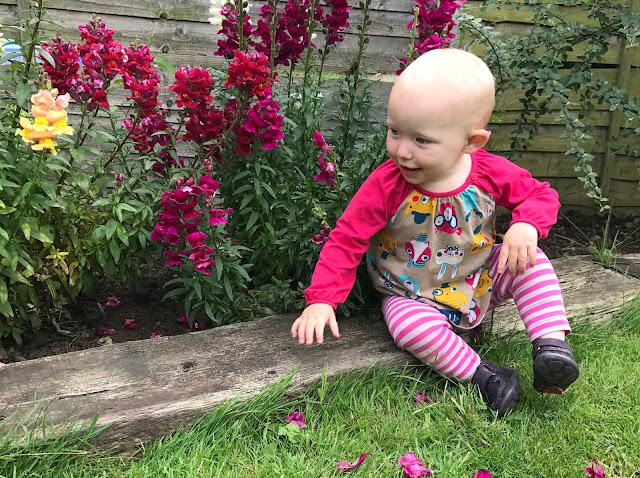 Little sitting in the garden on a railway sleeper in front of snap dragons with lots of pulled off flowers in front of her