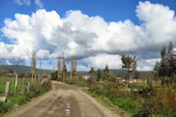 Escuela Gaspar Herrera de Curepto