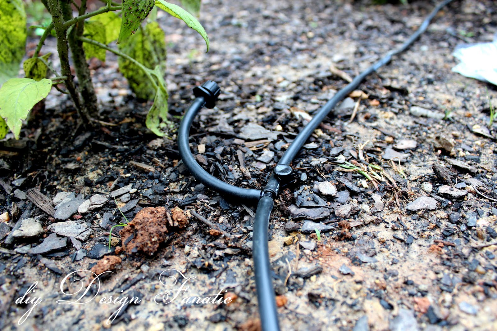 diy Design Fanatic Install A Drip Irrigation System To Make Your Life