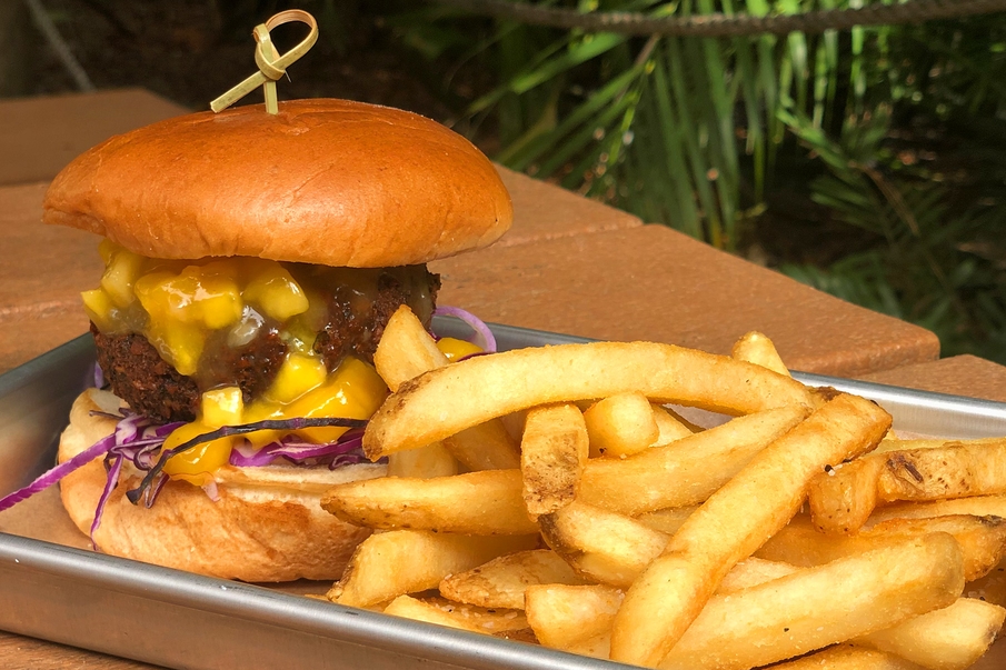 PHOTOS Enhanced Dining Options Debut at Brevard Zoo Orlando Theme