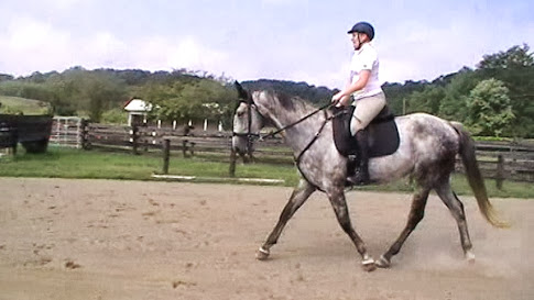 Brittany and Duke working on Dressage with Jeffrey Lord