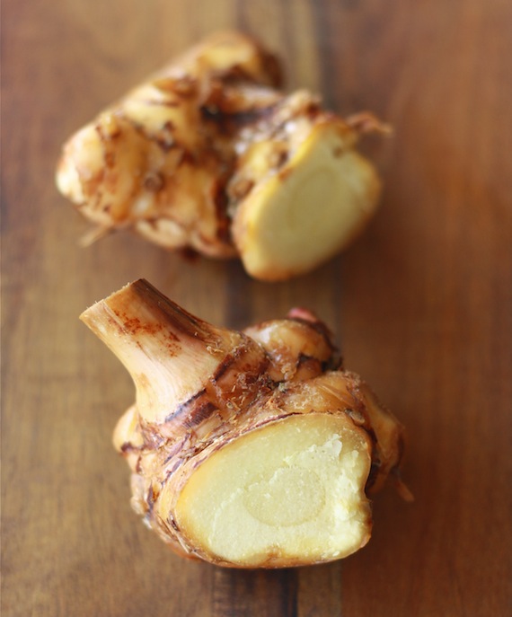 spicy mature galangal sliced open with white flesh