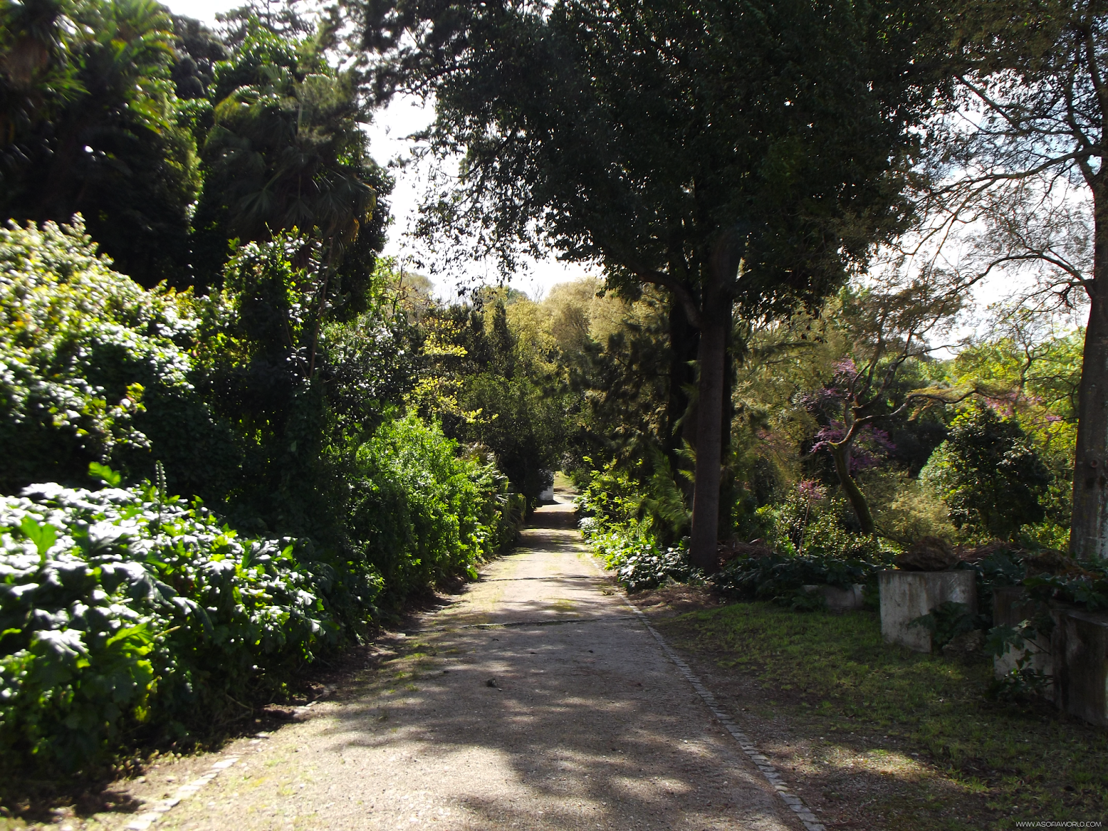 Parque Botânico do Monteiro-Mor, Lumiar, Lisboa Parque Botânico do Monteiro-Mor, Lumiar, Lisboa