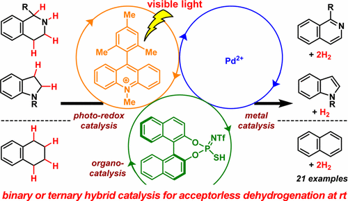 Organometallic Chemistry Hybrid Catalysis Enabling Room