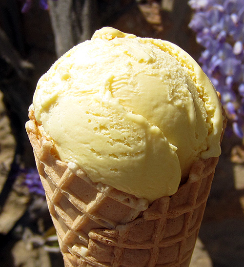 A Blog Of Ice Cream Simply Bananas About Ice Cream
