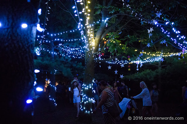 Hillside Festival at Guelph Lake Island July 22, 2016 Photo by John at One In Ten Words oneintenwords.com toronto indie alternative live music blog concert photography pictures