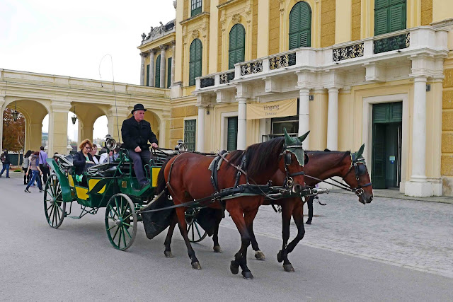 Schonbrunn Palace Horse Carriage